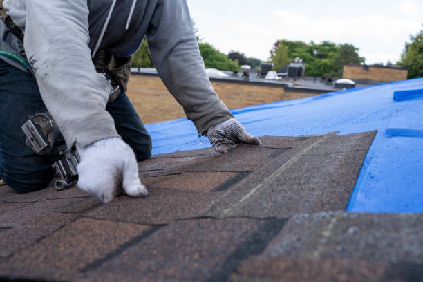 Best Storm Damage Roof Repair  in Shiner, TX